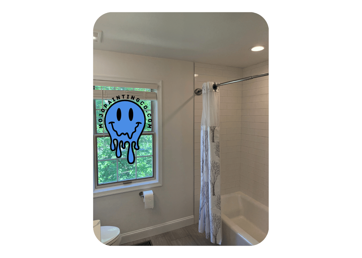 bathroom house painting mojo best painters near me Collegeville pa 